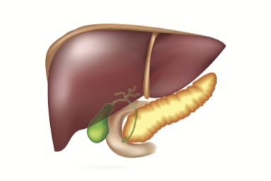 Plasma Thromboplastin Component (PTC) Blood Test