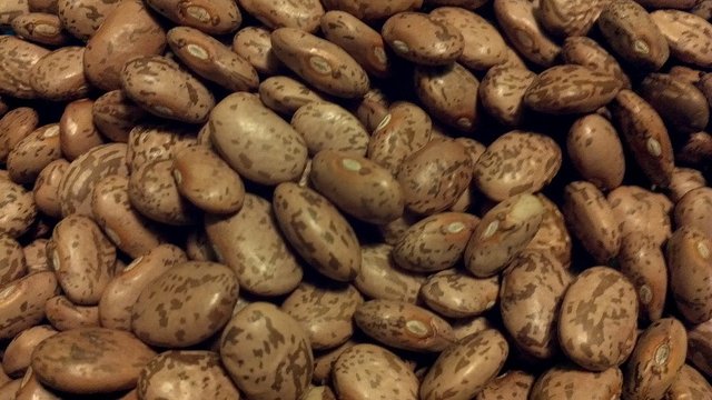 7 Health Benefits of Pinto Bean