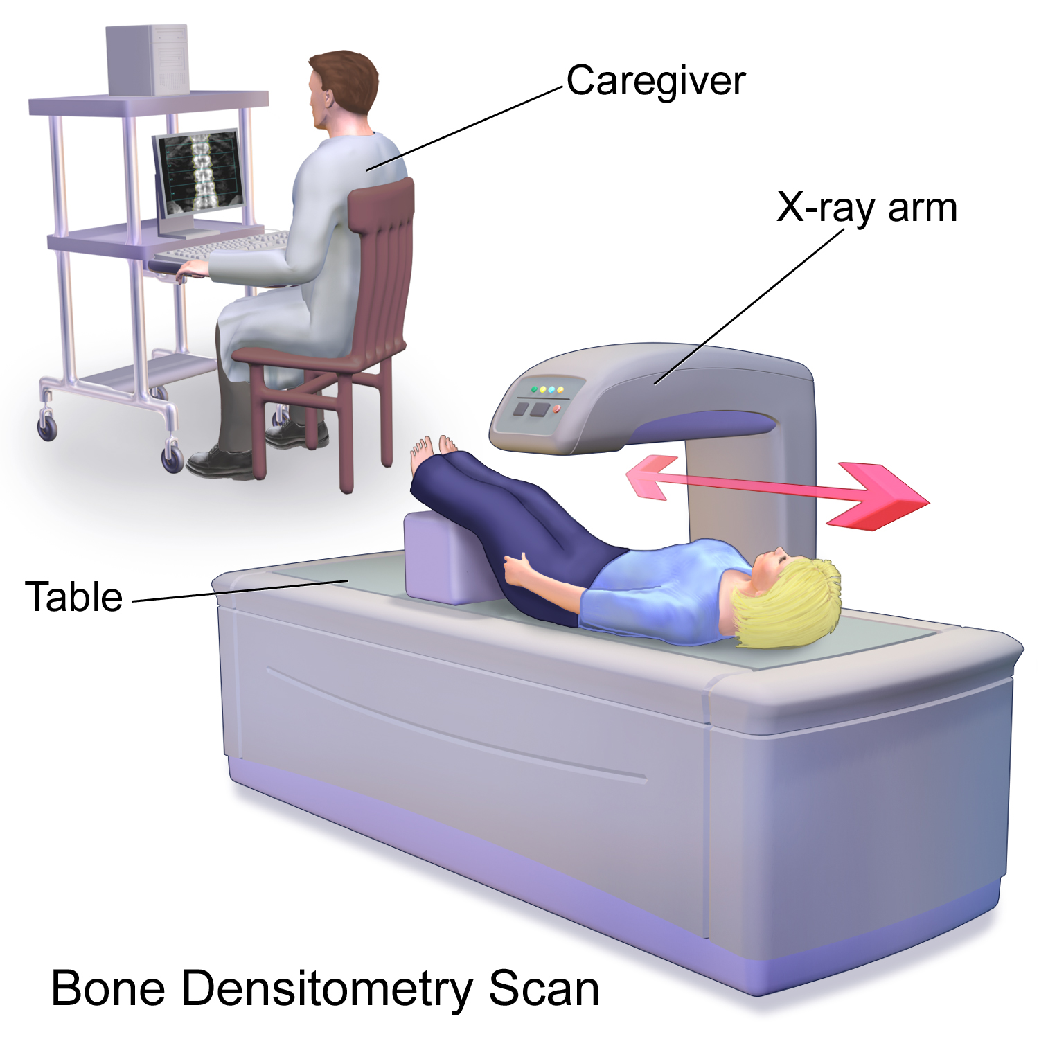 bone-density-scan-dexa-scan-how-it-is-performed-nhs