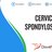 Cervical Spondylosis.