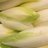 Belgian Endives