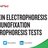 Protein Electrophoresis & Immunofixation Electrophoresis Tests.