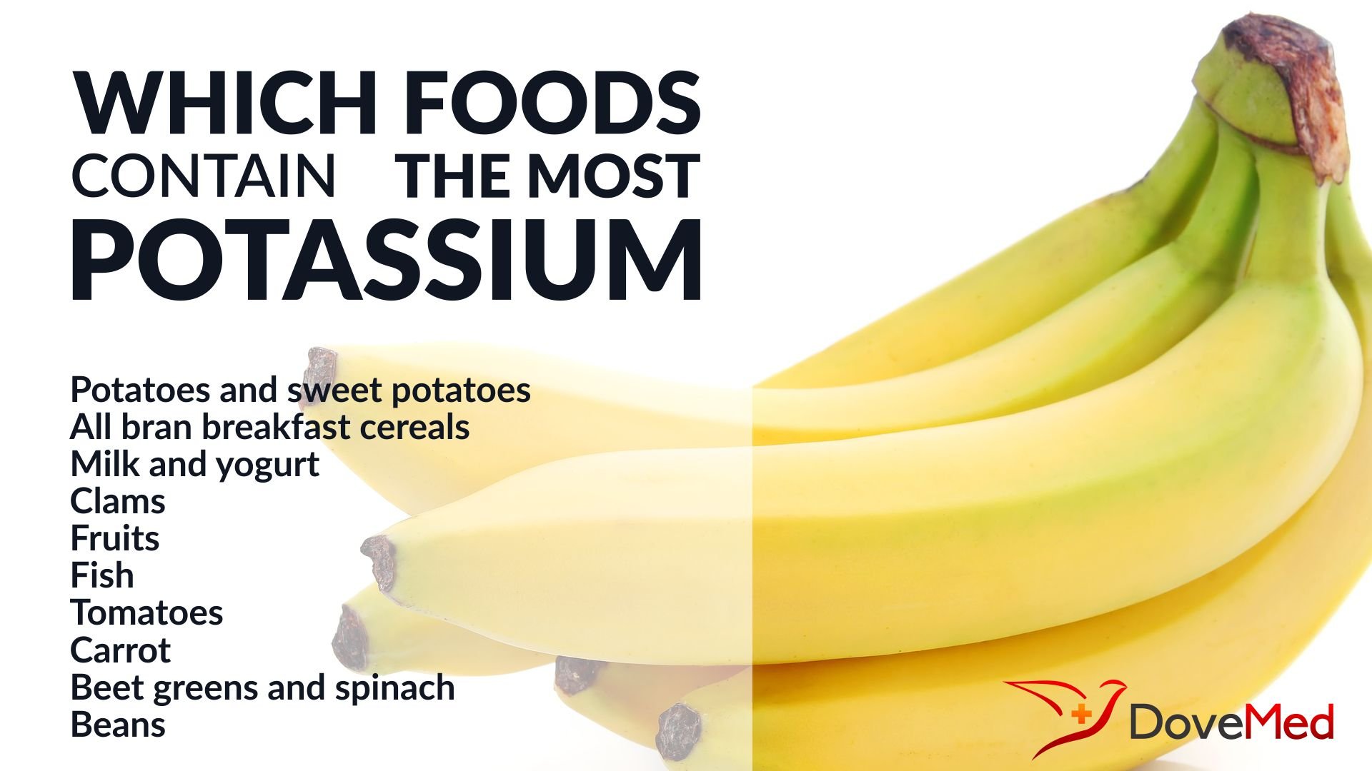 which-foods-contain-the-most-potassium