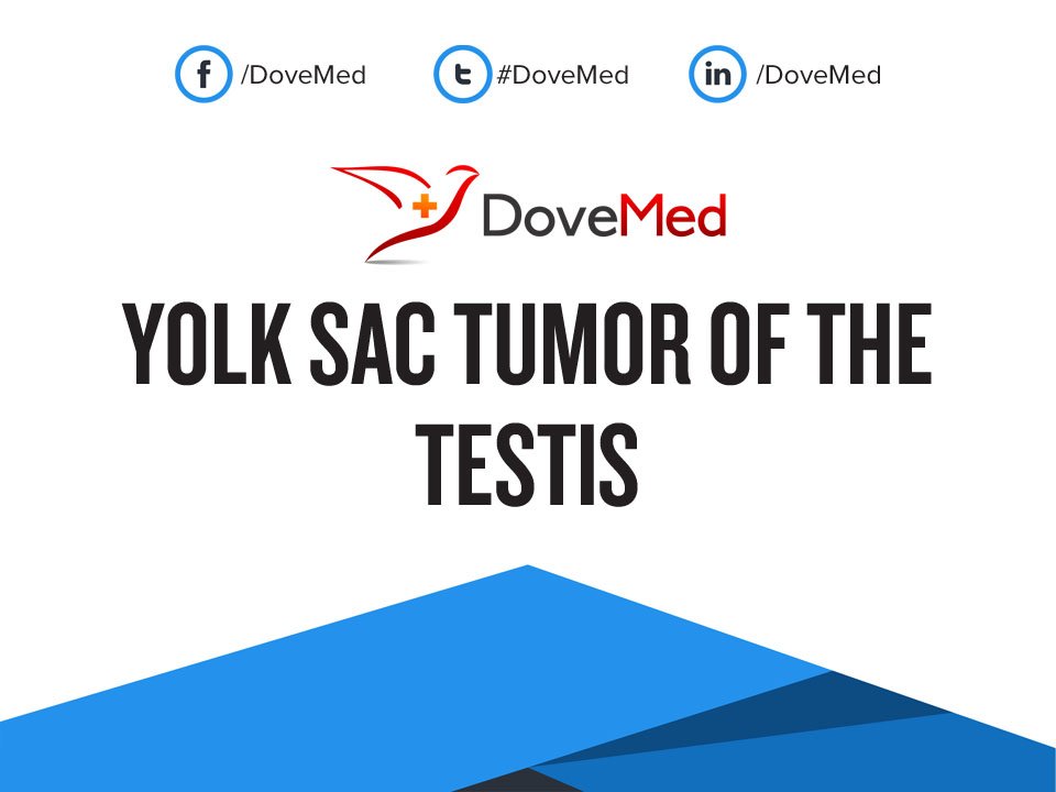 Yolk Sac Tumor of the Testis