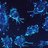 Cancer cells.