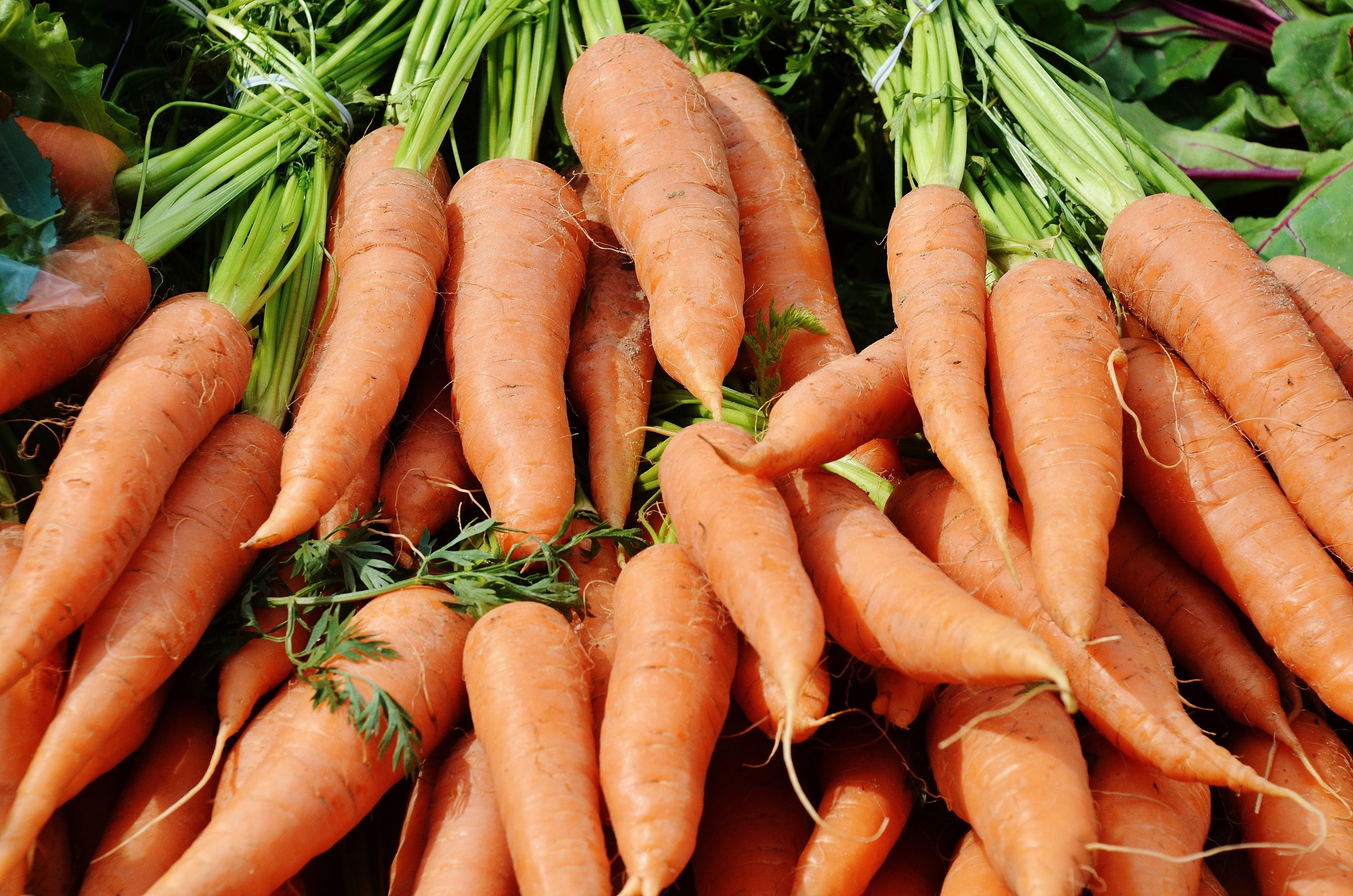 7 Health Benefits of Carrots