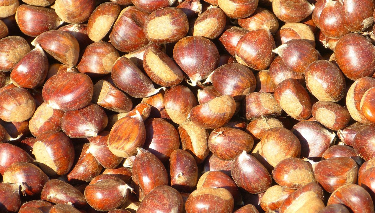 7 Health Benefits Of Chestnuts