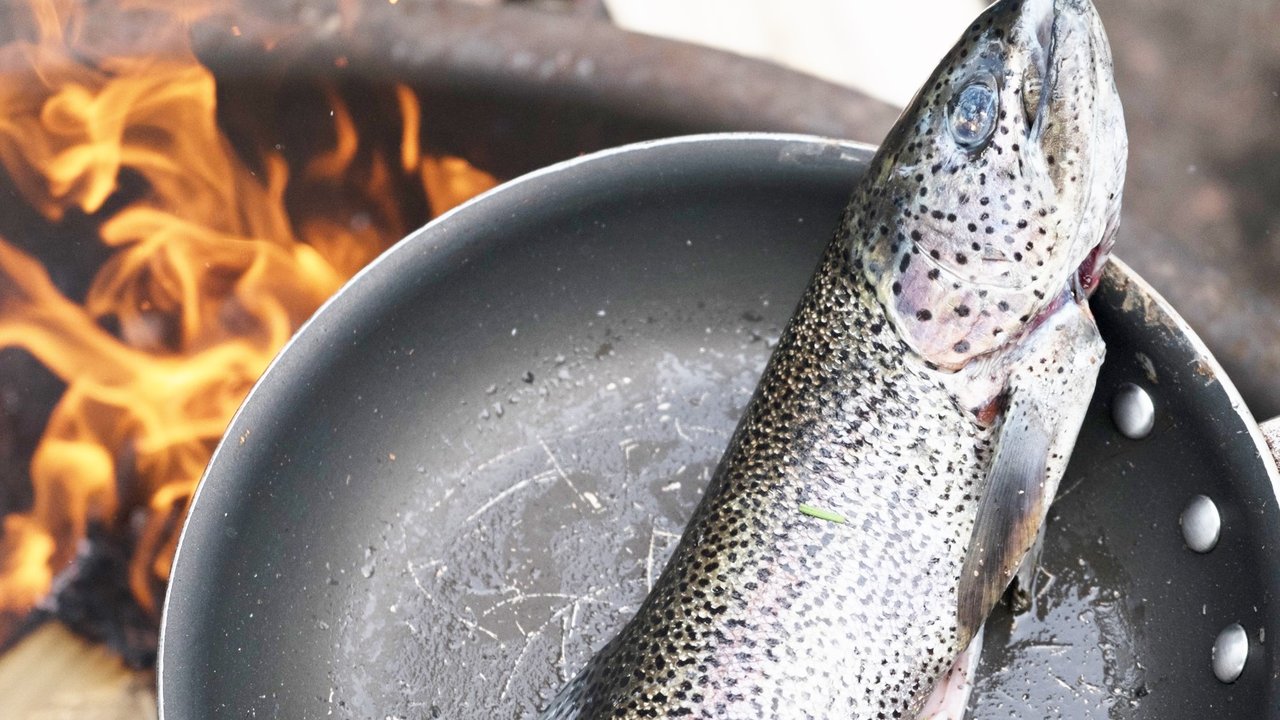 7 Health Benefits Of Rainbow Trout