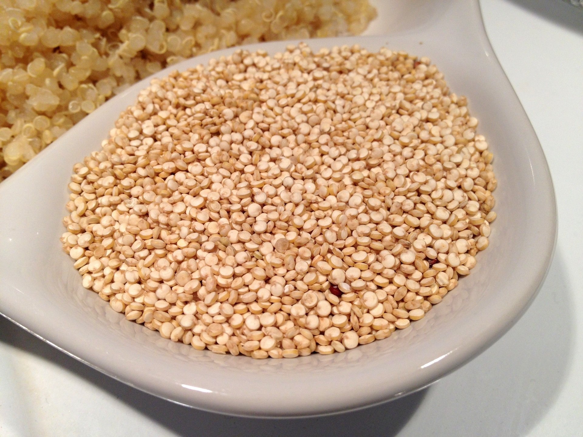 What Is Quinoa Seeds Called In Urdu