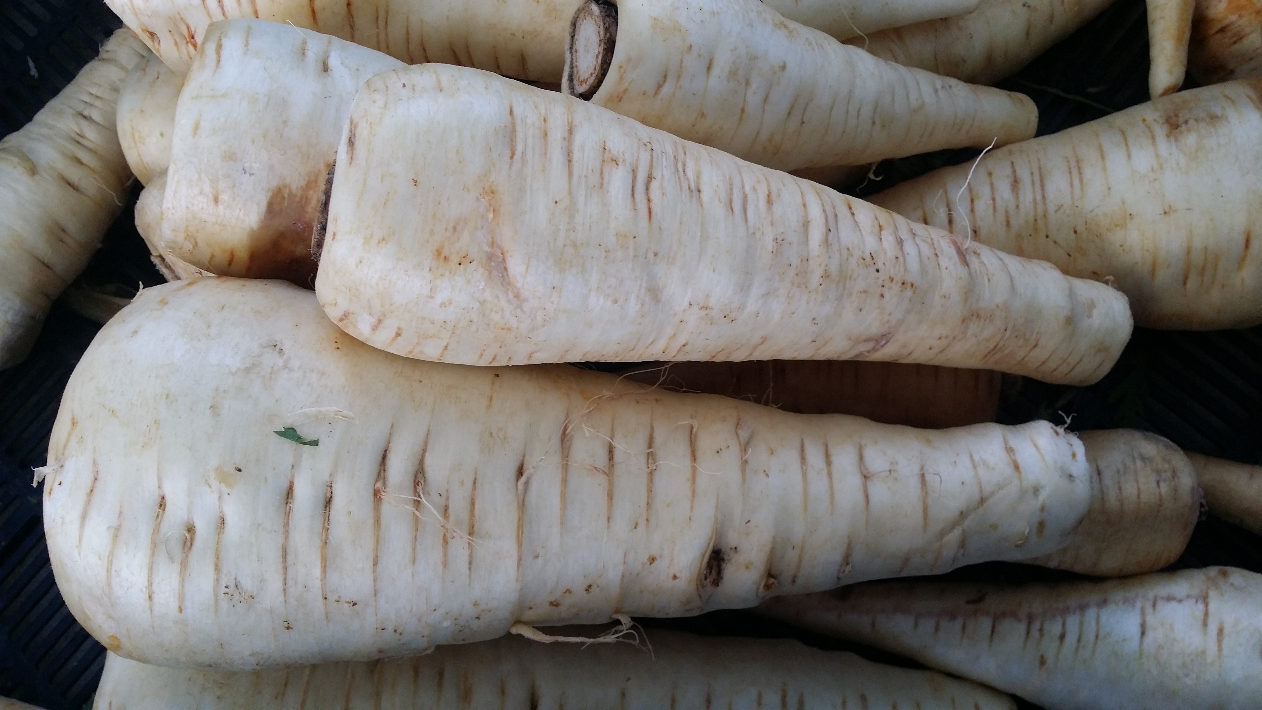 benefits of parsnips