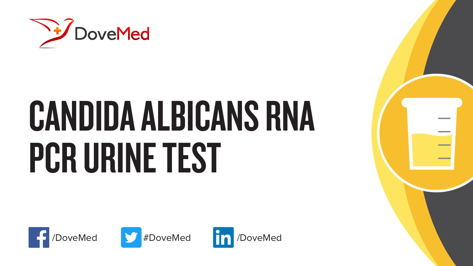 Candida Albicans RNA PCR Urine Test