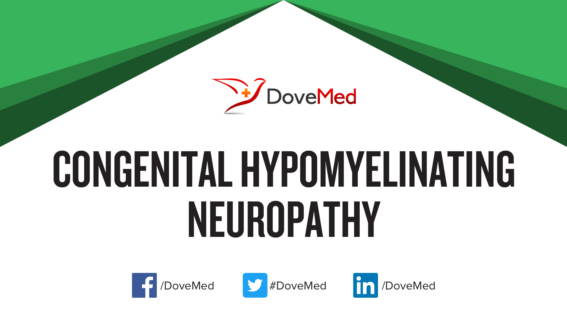 Congenital Hypomyelinating Neuropathy (chn)