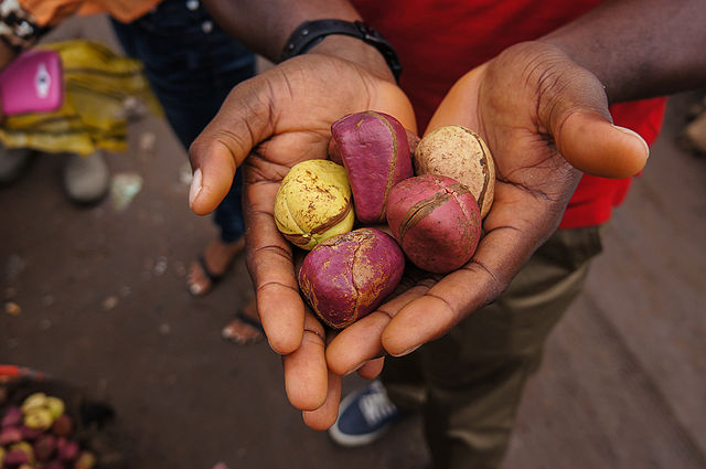 7 Health Benefits Of Kola Nuts