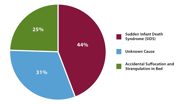 Sudden Infant Death Syndrome