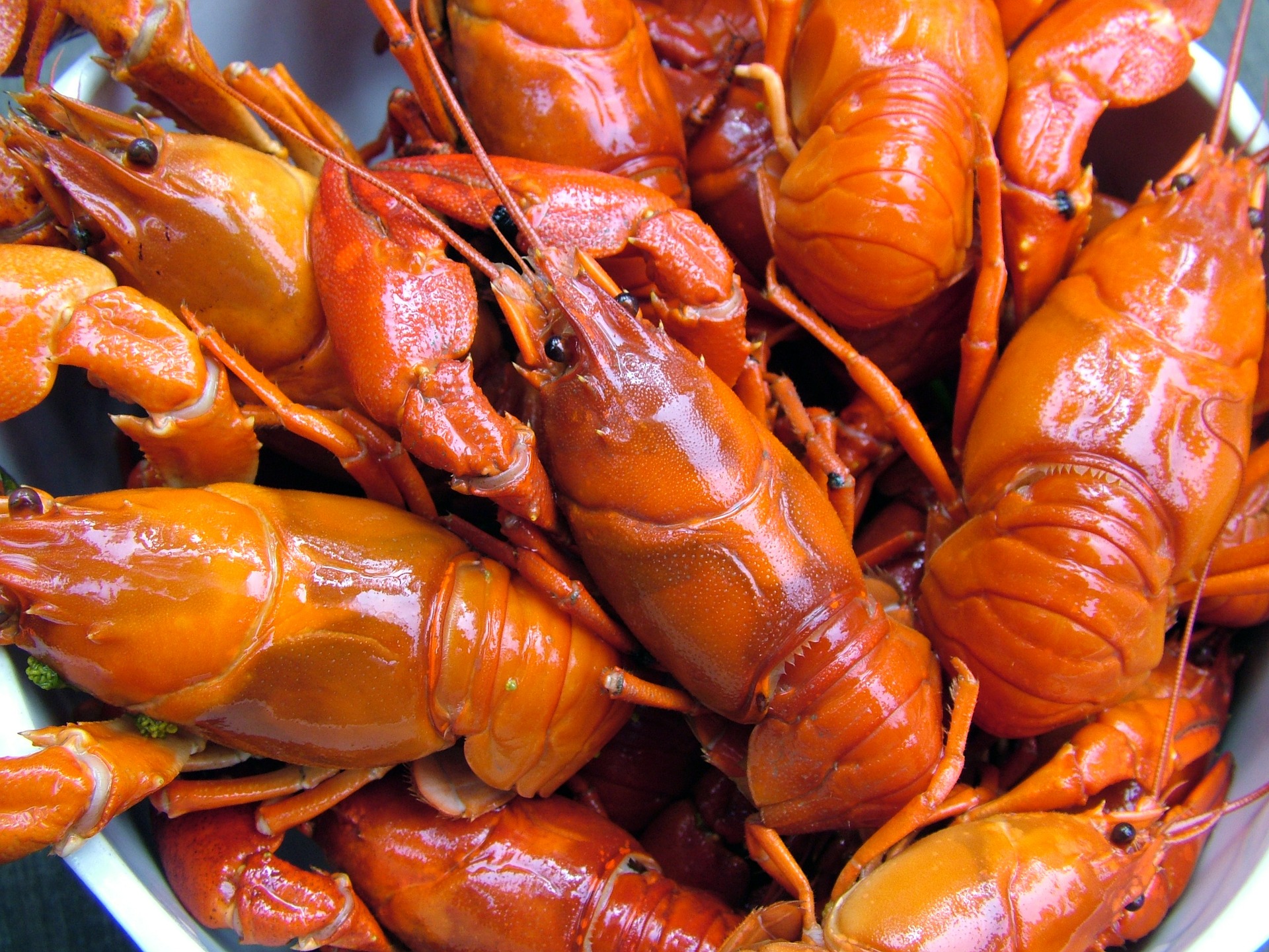 what-are-the-health-benefits-of-crab-meat