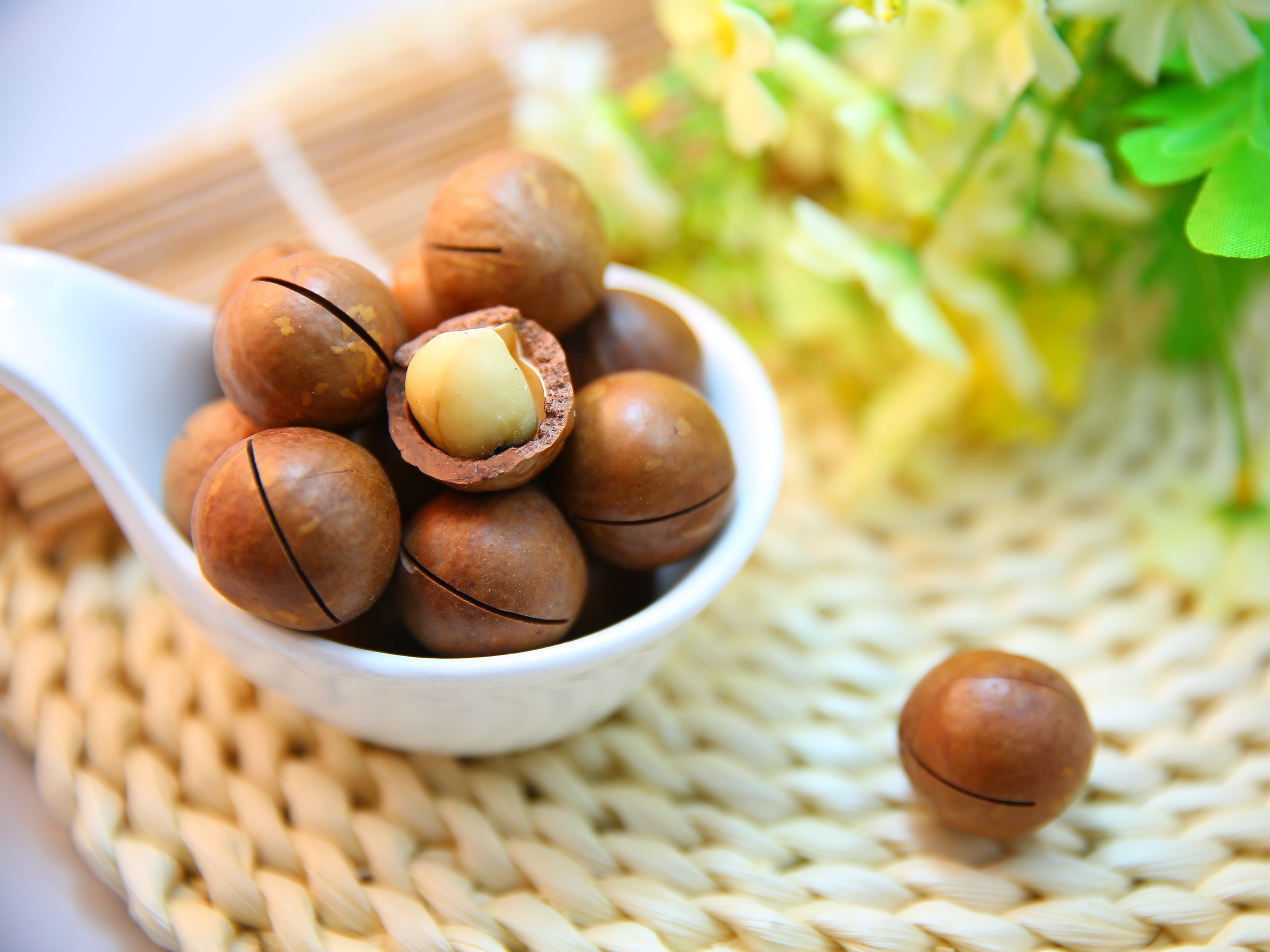 7-health-benefits-of-macadamia-nuts